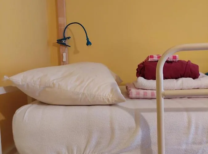 Auberge de jeunesse Oldtown Otter