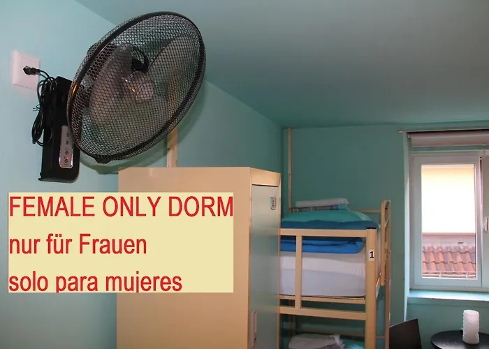 Auberge de jeunesse Oldtown Otter