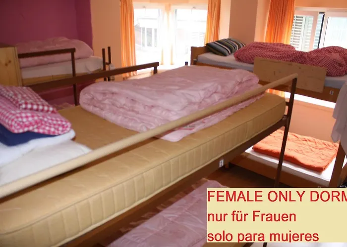 Auberge de jeunesse Oldtown Otter *