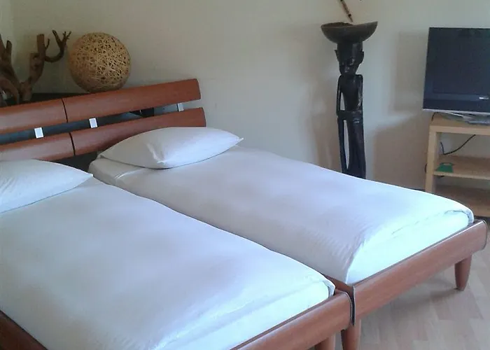 Auberge de jeunesse Oldtown Otter *