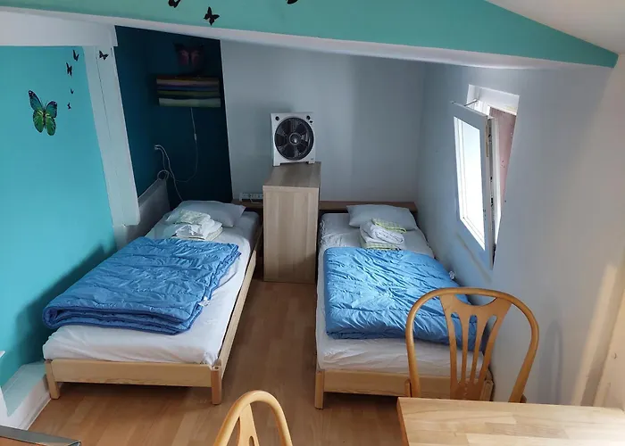 Oldtown Otter Zürich